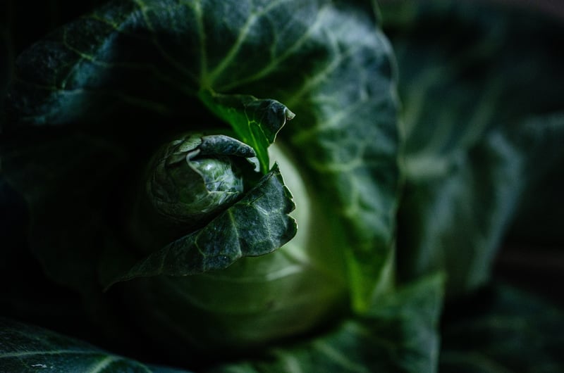 Veggie Delicacies